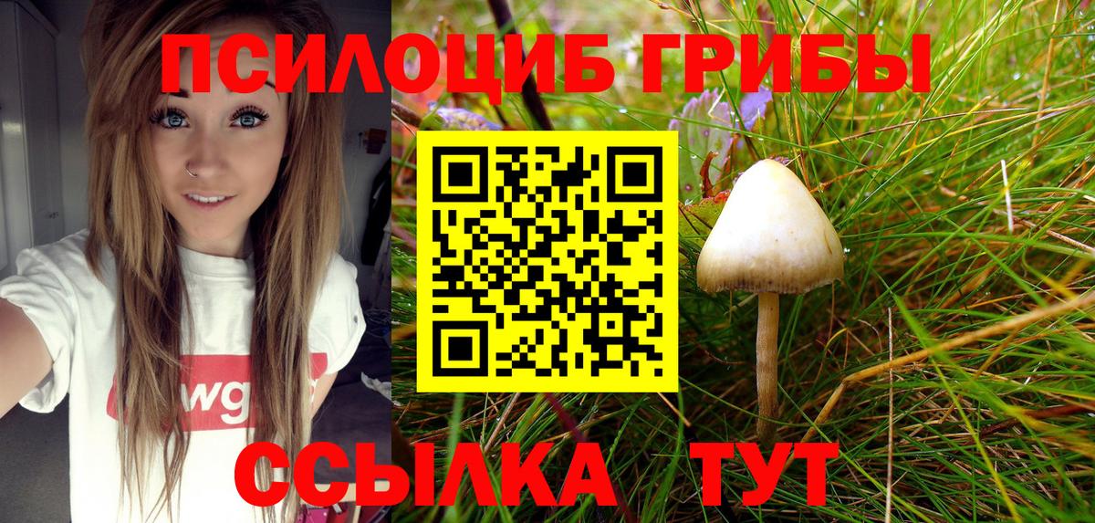 Белгород  Псилоцибиновые грибы Psilocybine cubensis  наркота  Галлюциногенные грибы GOLDEN TEACHER  Вход с VPN 